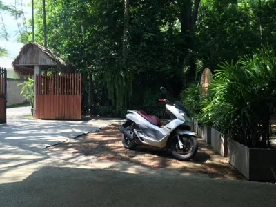 Fern House Retreat – Photos 13